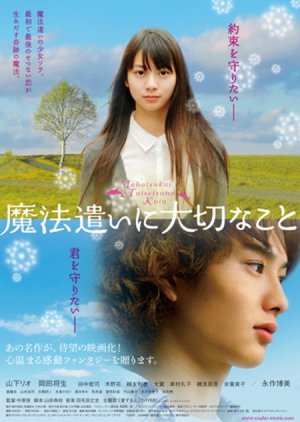 Someday's Dreamers (2008) poster