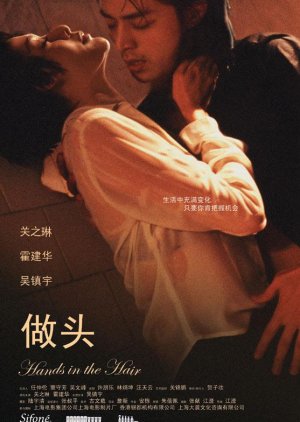 Hands in the Hair (2005) poster