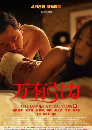 The Law of Attraction  (2011) poster