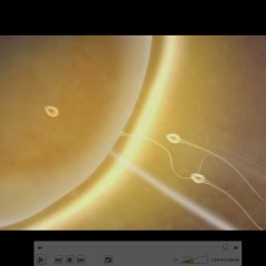 Three Dads One Mom Korean Drama photo