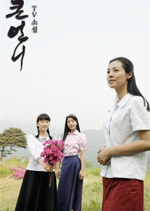 TV Novel: Big Sister (2008) poster