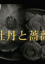 Botan to Bara Japanese Drama photo