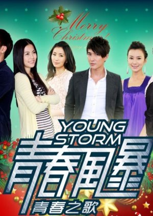 Youth Storm (2012) poster