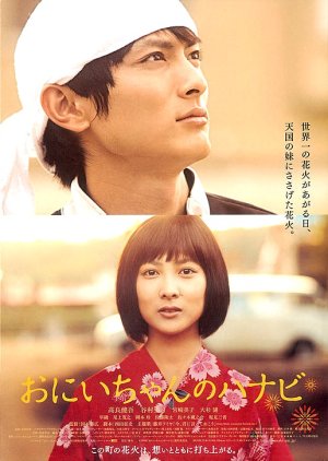 Fireworks from the Heart (2010) poster