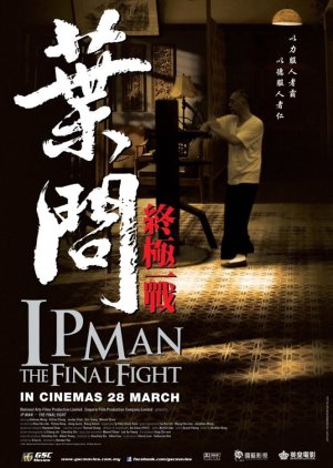 Ip Man: The Final Fight (2013) poster
