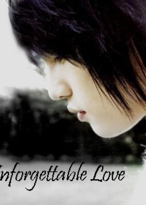 Unforgettable Love (2006) poster