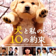 10 Promises to My Dog Japanese Movie photo