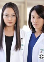 Akujotachi no Mesu 2 (2012) photo