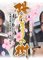 Hidamari no Ki Japanese Drama photo