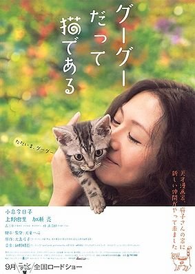 Gou Gou, o Gato (2008) poster