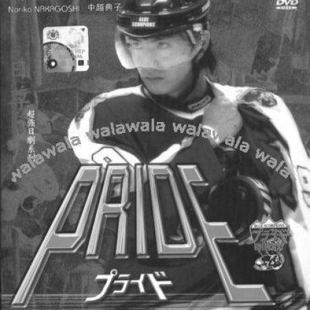 Kamisama no Boto  (2013)