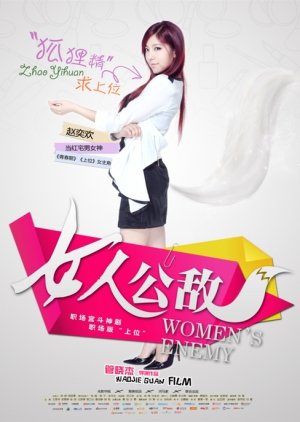 Women's Enemy (2013) poster
