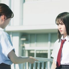 I Want to See You Again on That Starry Hill. Japanese Movie(2026) photo