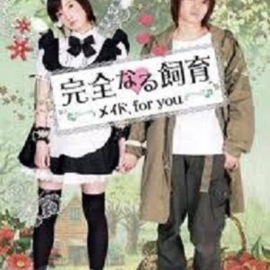 Perfect Education 7: Maid for You (2010)