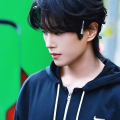 Li Wen Han photo