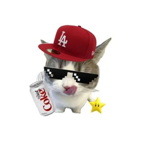 zqxzqx