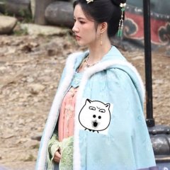 The Last Princess Chinese Drama photo