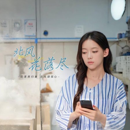 Bei Feng Hua Luo Jin (2024)