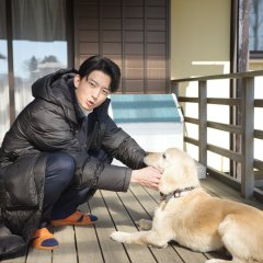 The Boy and I Who Will Break Up in 100 Days Japanese Drama(2026) photo