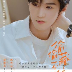 Hidden Love Chinese Drama(2023) photo