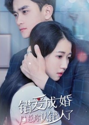 Marriage Due to Wrong Love: Mr. Lu, You Have the Wrong Person (2023) poster