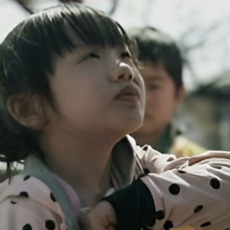 Marumo no Okite (2011)