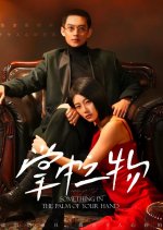 Something in the Palm of Your Hand Chinese Drama photo