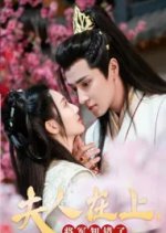 Fu Ren Zai Shang Jiang Jun Zhi Cuo Le Chinese Drama photo