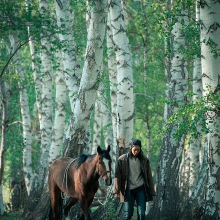 To the Wonder (2024)