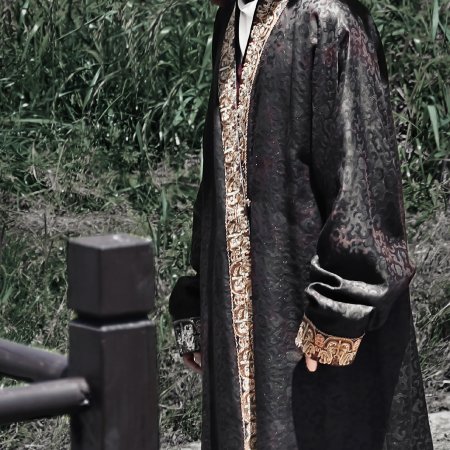 Northern Wei Dynasty ()
