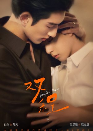 Double Helix (0000) poster
