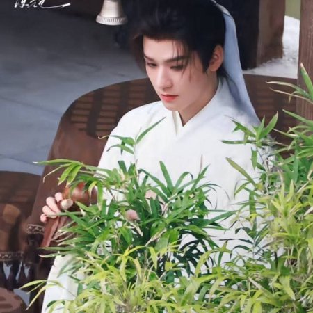 The Legend of Lu Xiaofeng ()