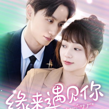 Shan Hun Zong Cai Lao Gong Chong Fan Tian (2024)