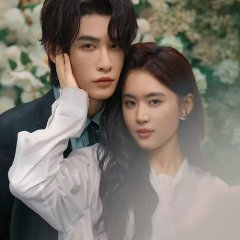 The Dark Side of the Sun Chinese Drama(2025) photo