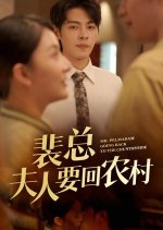 Mr. Pei, Madam Going Back to the Countryside Chinese Drama(2024) photo