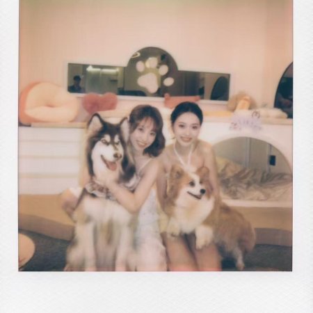 Heart Signal Season 8 (2025)