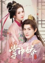 My Dear Beloved Chinese Drama(2025) photo