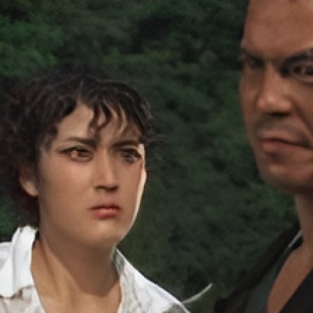 Truck Yarou: Neppuu Gosenkiro (1979)