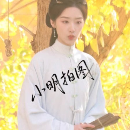 The Road to Splendor ()