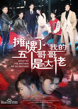 Group Pet Five Brothers Are Big Brothers (2024) poster