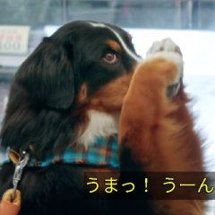 Love & Revenge: Spy Game Japanese Drama(2025) photo