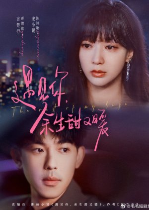 The Rest of My Life (2025) poster