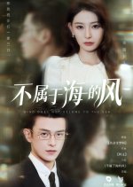 Wind Does Not Belong to the Sea Chinese Drama(2025) photo