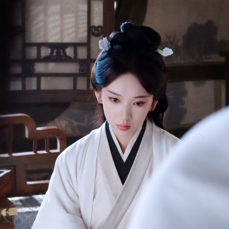 The Princess's Gambit (2025)