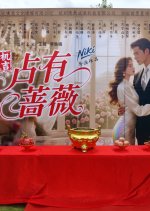 Zhan You Mei Gui Chinese Drama(2025) photo