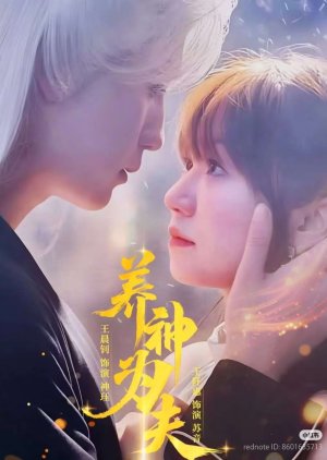 Yang Shen Wei Fu (2025) poster