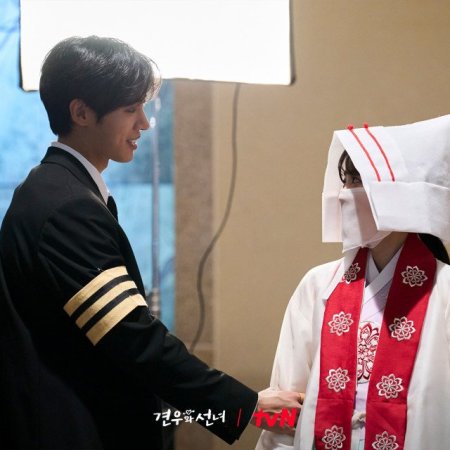Head over Heels (2025)