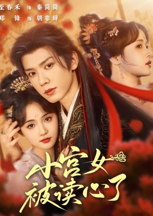 Xiao Gong Nv Bei Du Xin Le poster