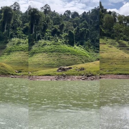 Revamp the Undead Story (2025)