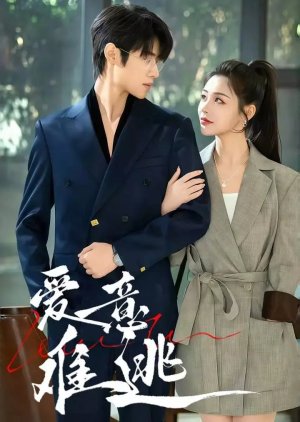 Ai Yi Nan Tao (2025) poster